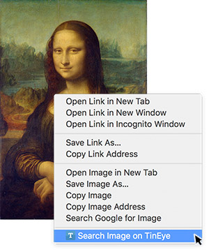 Search Image on TinEye