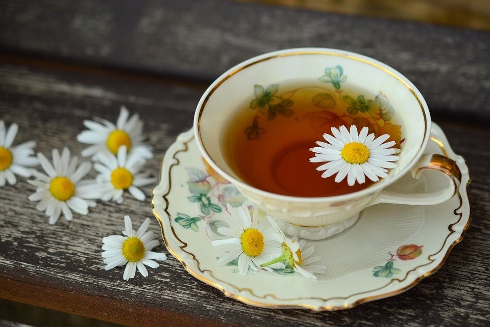 گیاه دارویی