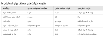 استارتاپ خود را با این ساختارهای شرکتی راه&zwnj;اندازی کنید و موفق شوید!